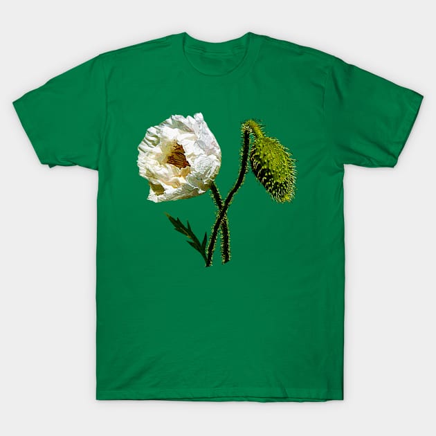 White Poppy T-Shirt by SusanSavad